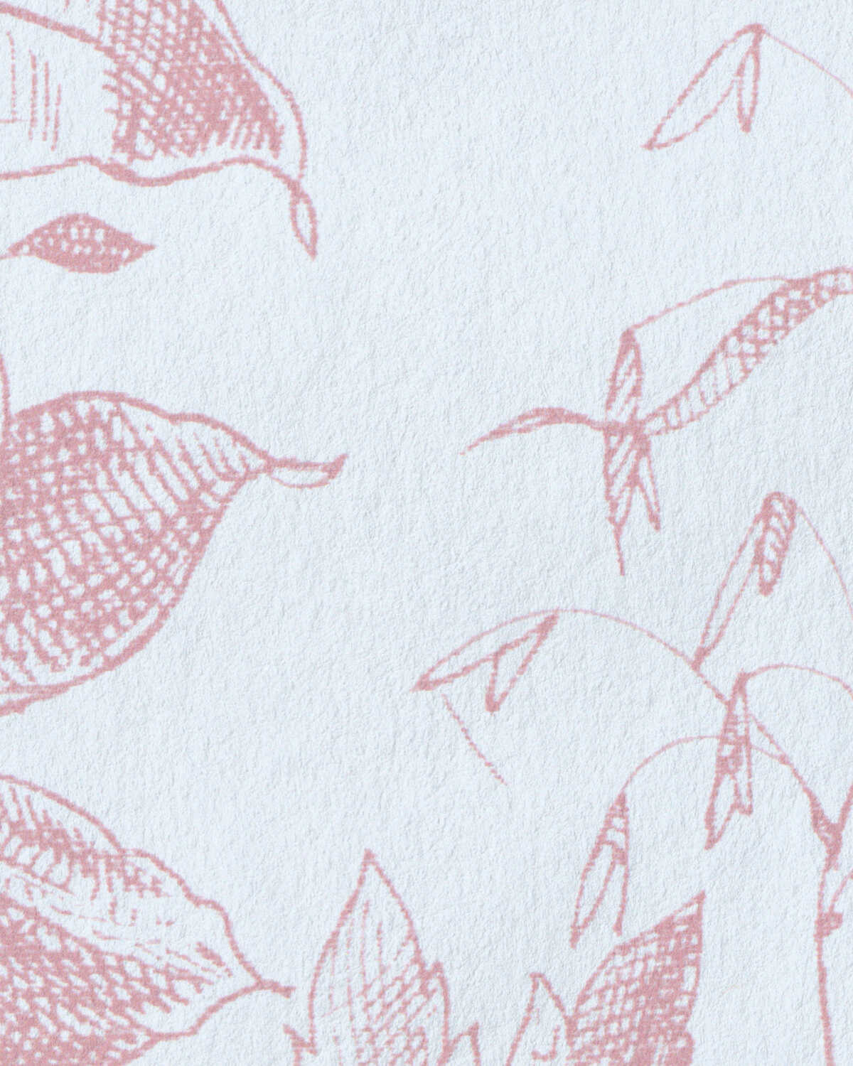 Tea Rose Toile Wp - Rose - LEE JOFA Wallpaper
