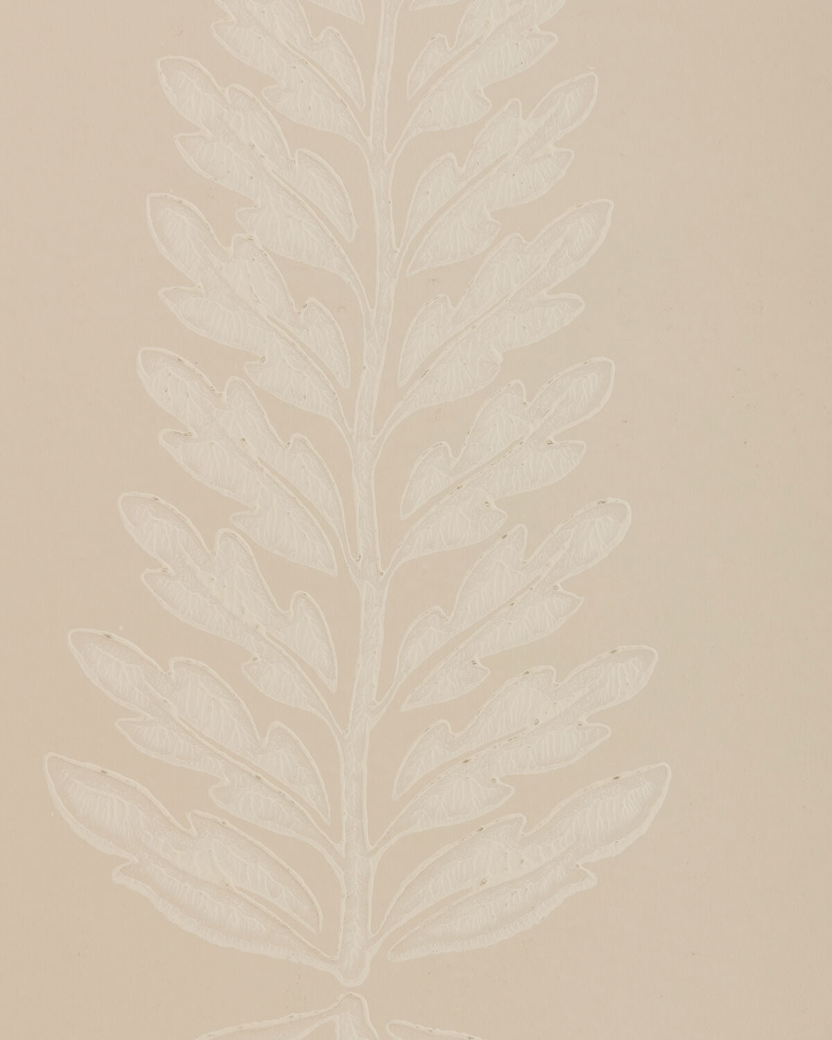 Glade Fern - Beige - Lee Jofa Wallpaper