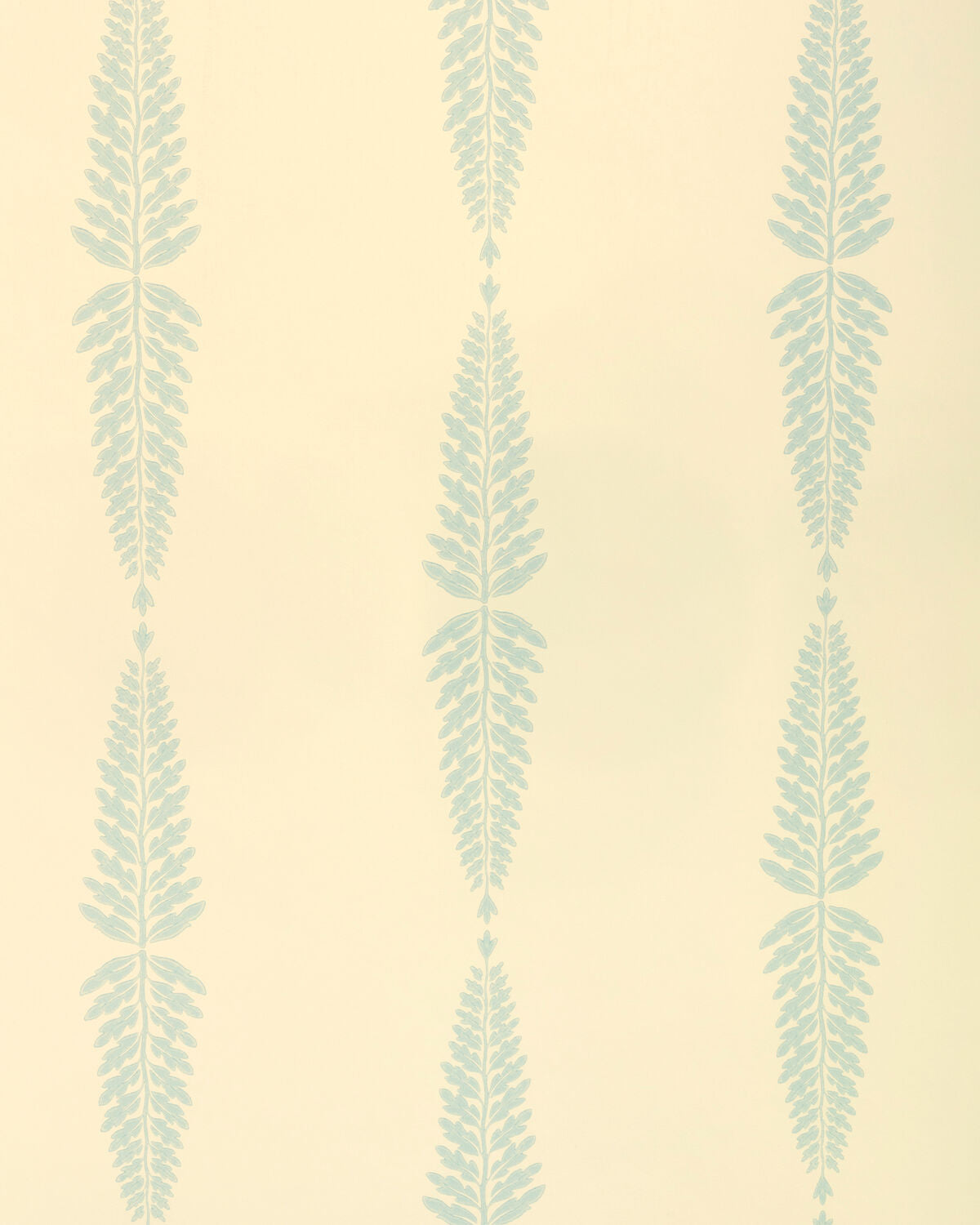 Glade Fern - Sky