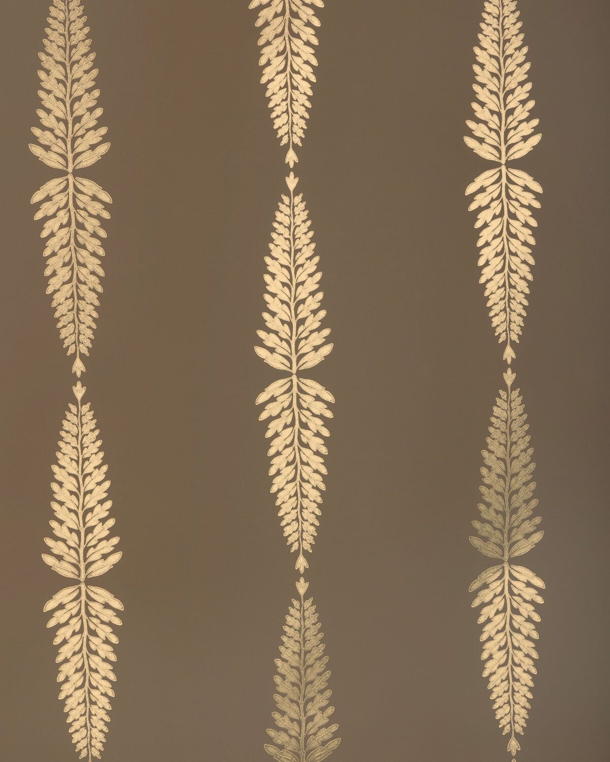 Glade Fern - Carob