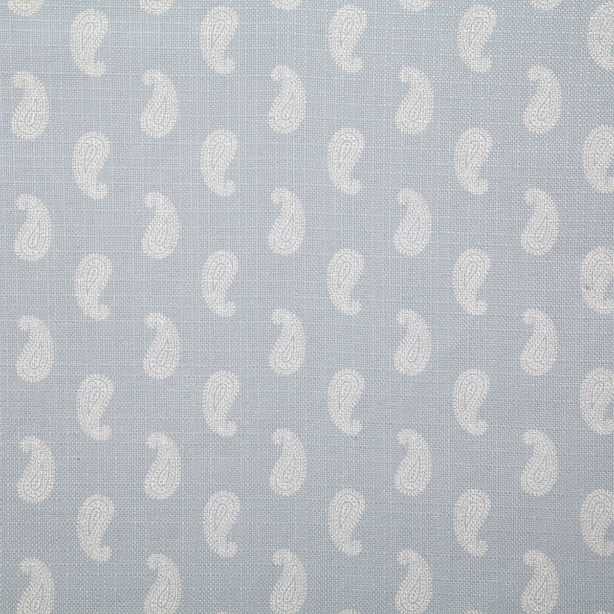 p6439-kirby-mist-pindler