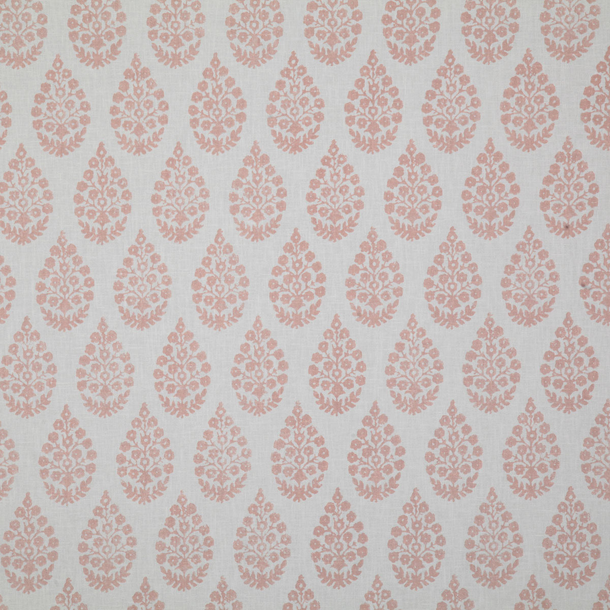 p6538-charu-petal-pindler