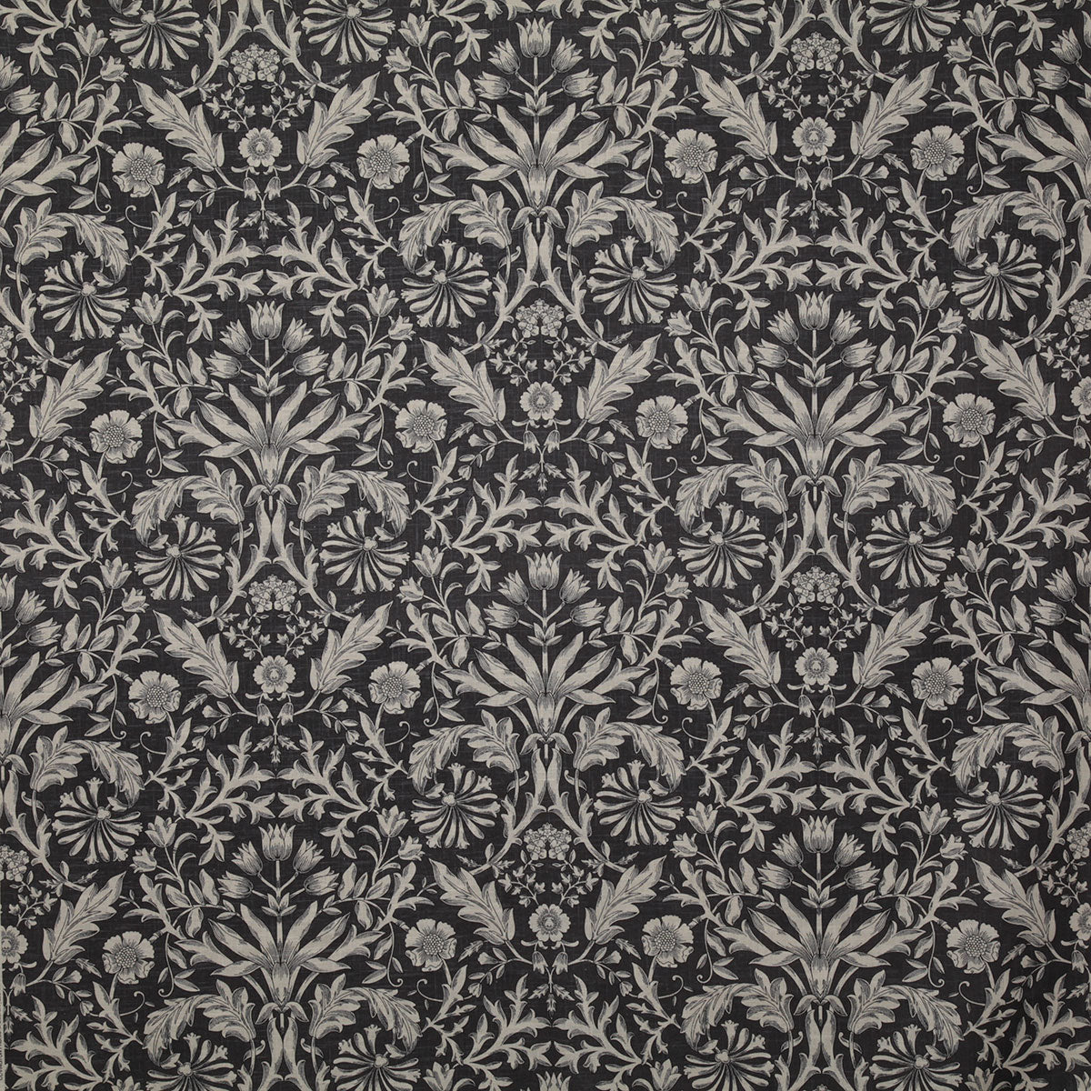 p6621-gawain-graphite-pindler