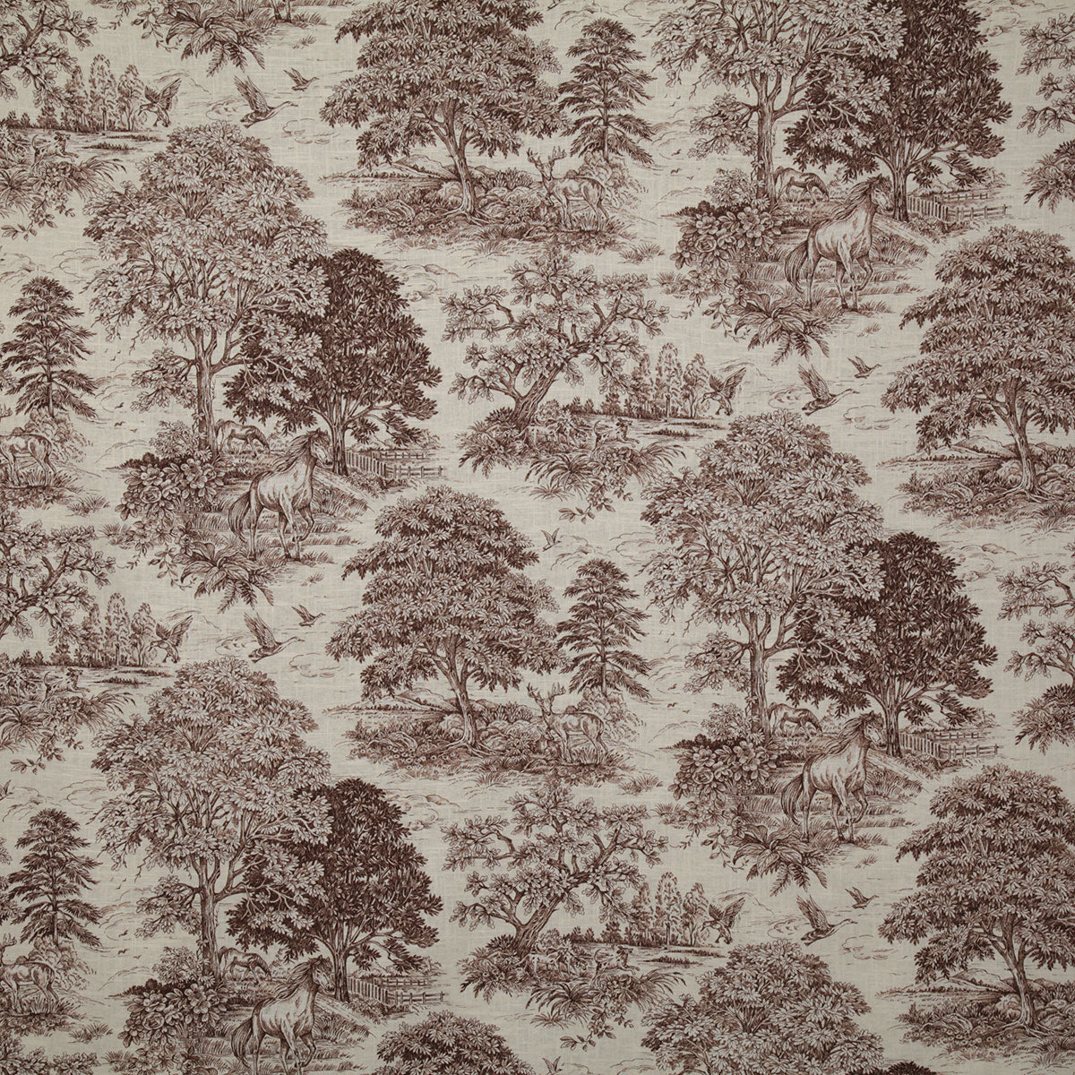 p6622-pasture-bark-pindler