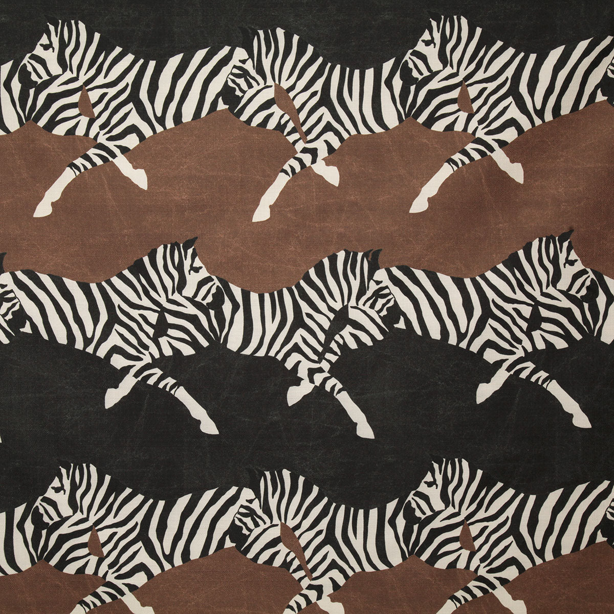 p6809-dasani-safari-pindler