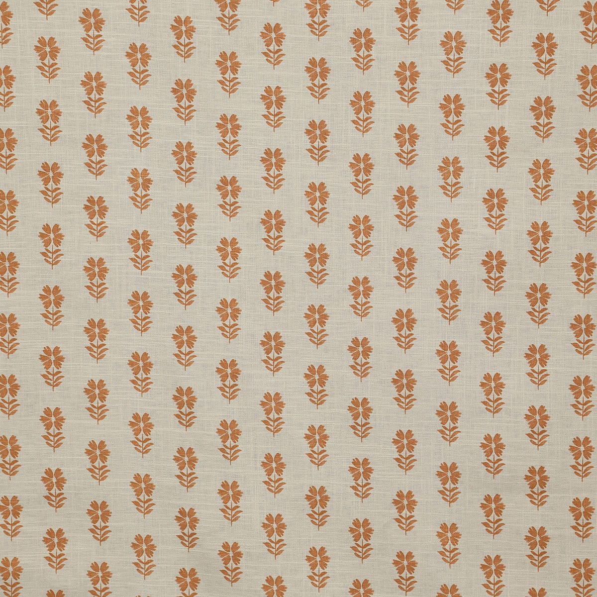 p6839-esme-clay-pindler