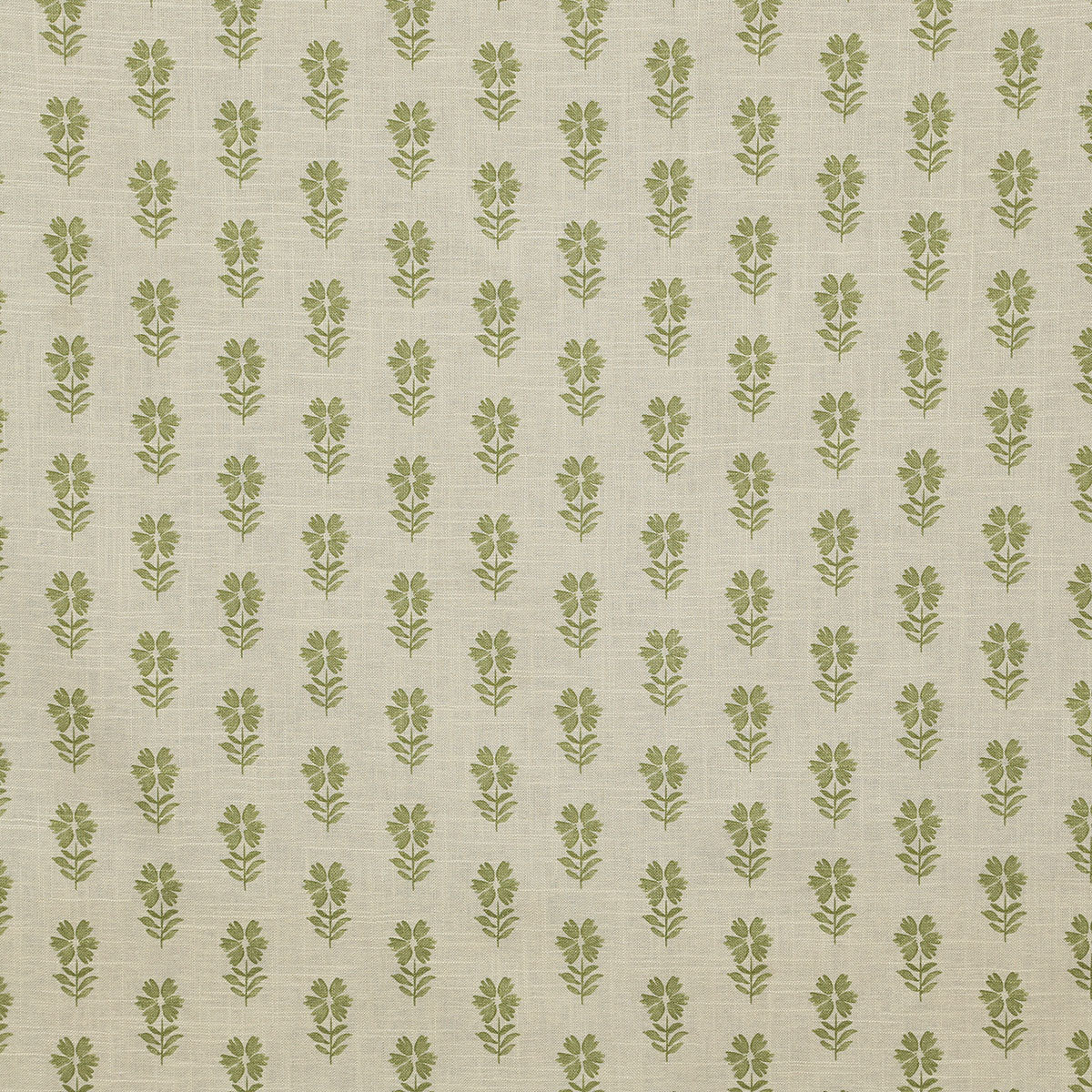 p6839-esme-clover-pindler