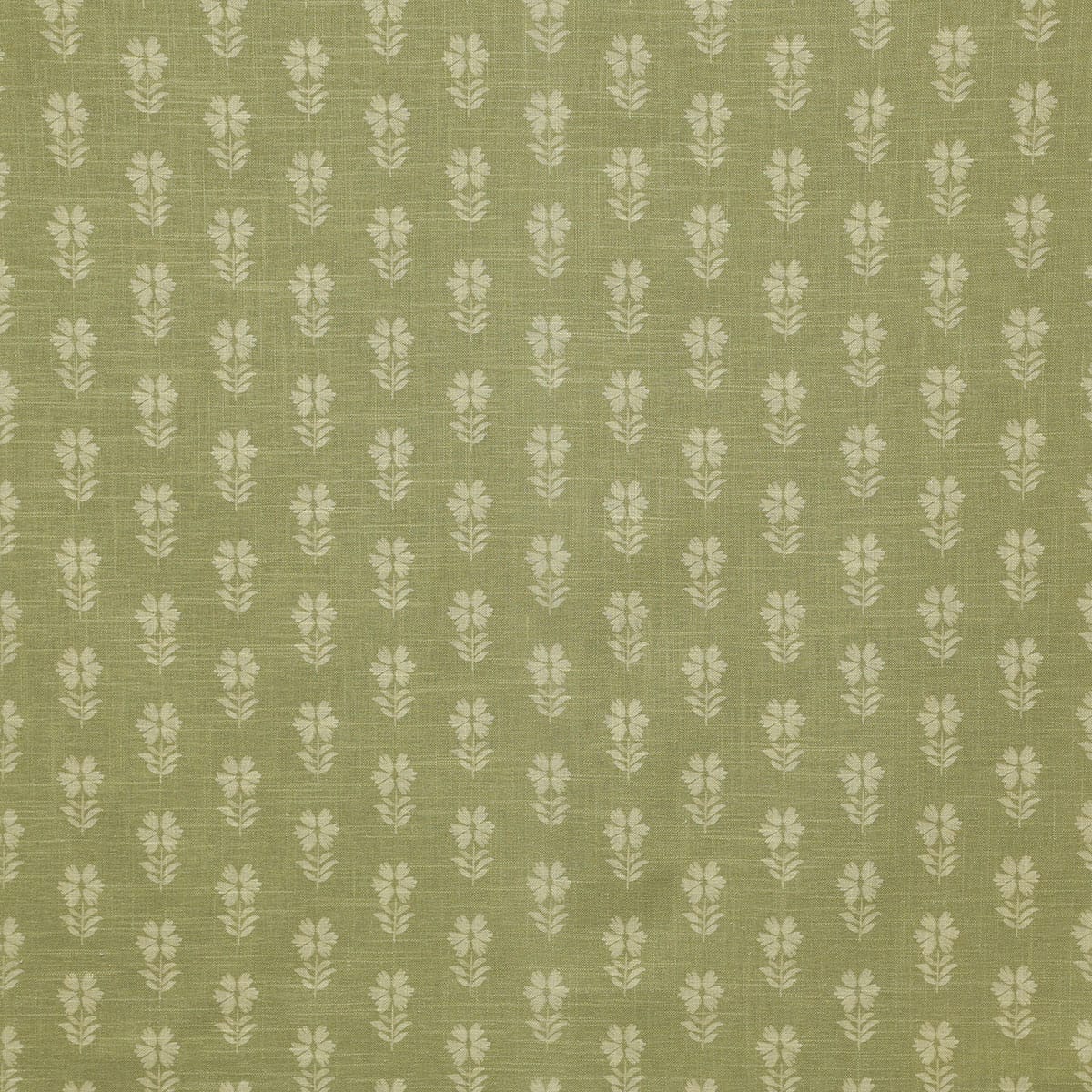 p6839-esme-sage-pindler