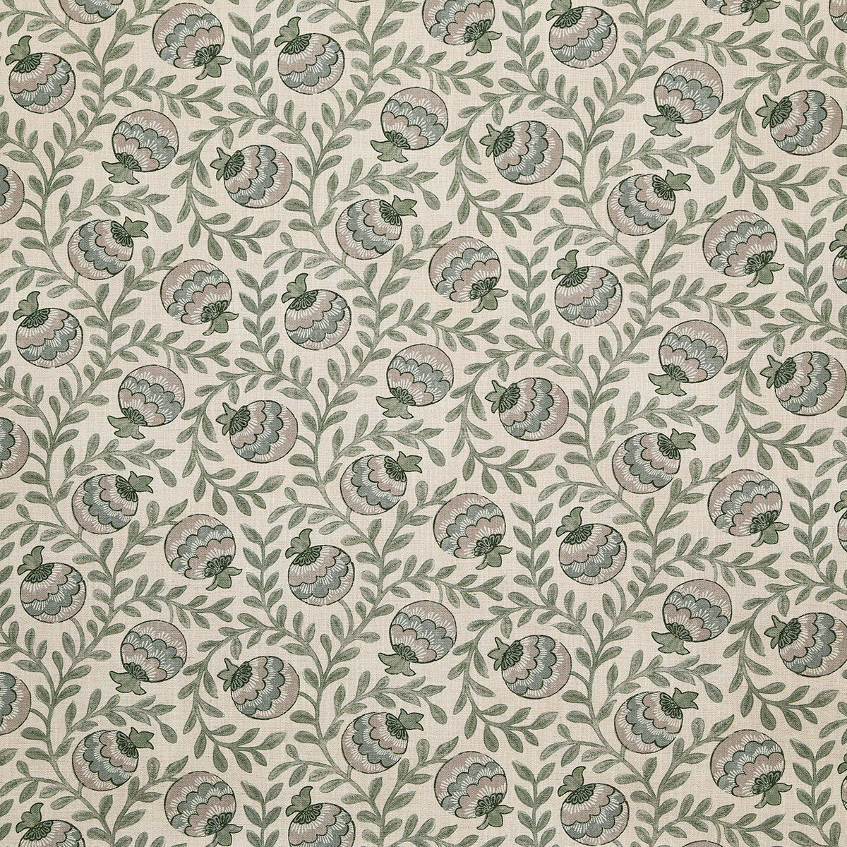 p6854-alcala-sage-pindler