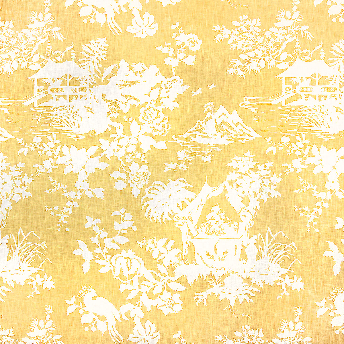 p6862-sakura-lemon-pindler