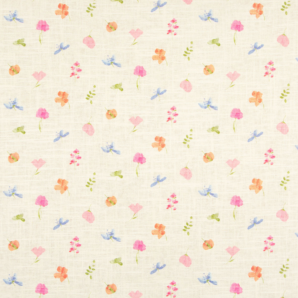 p6866-lilibet-zinnia-pindler