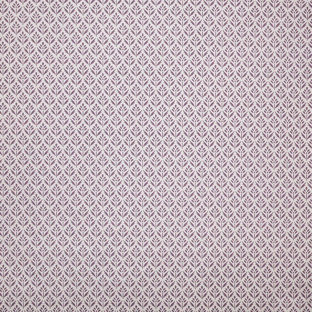 p6873-alys-iris-pindler