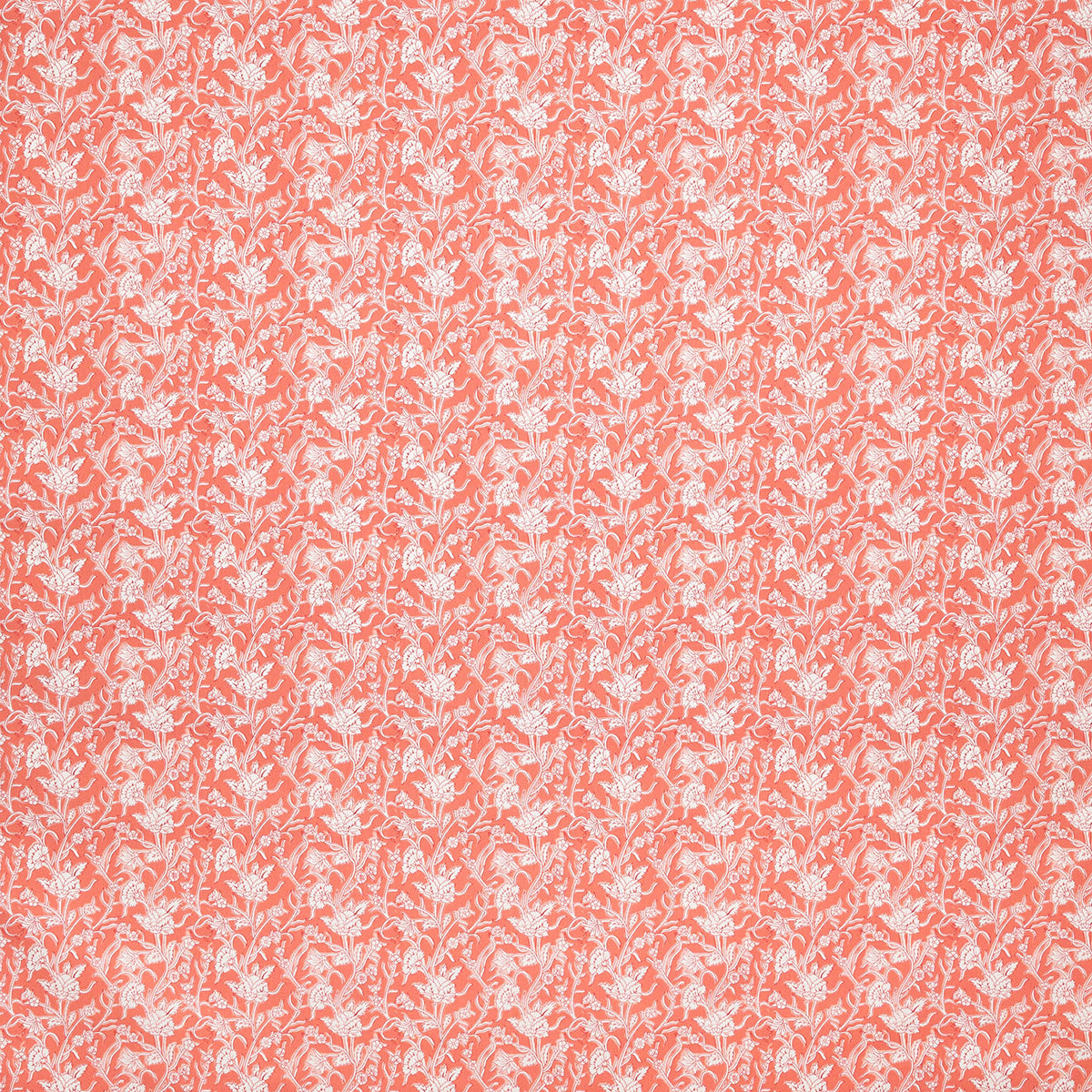 p6876-marco-coral-pindler