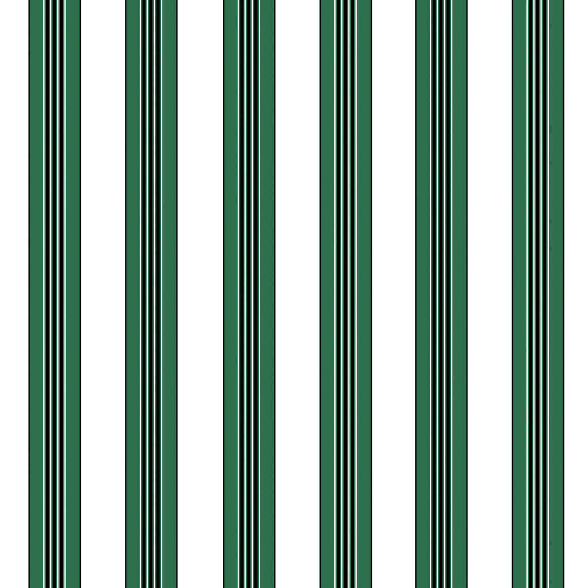 Rayure Lione - Emerald