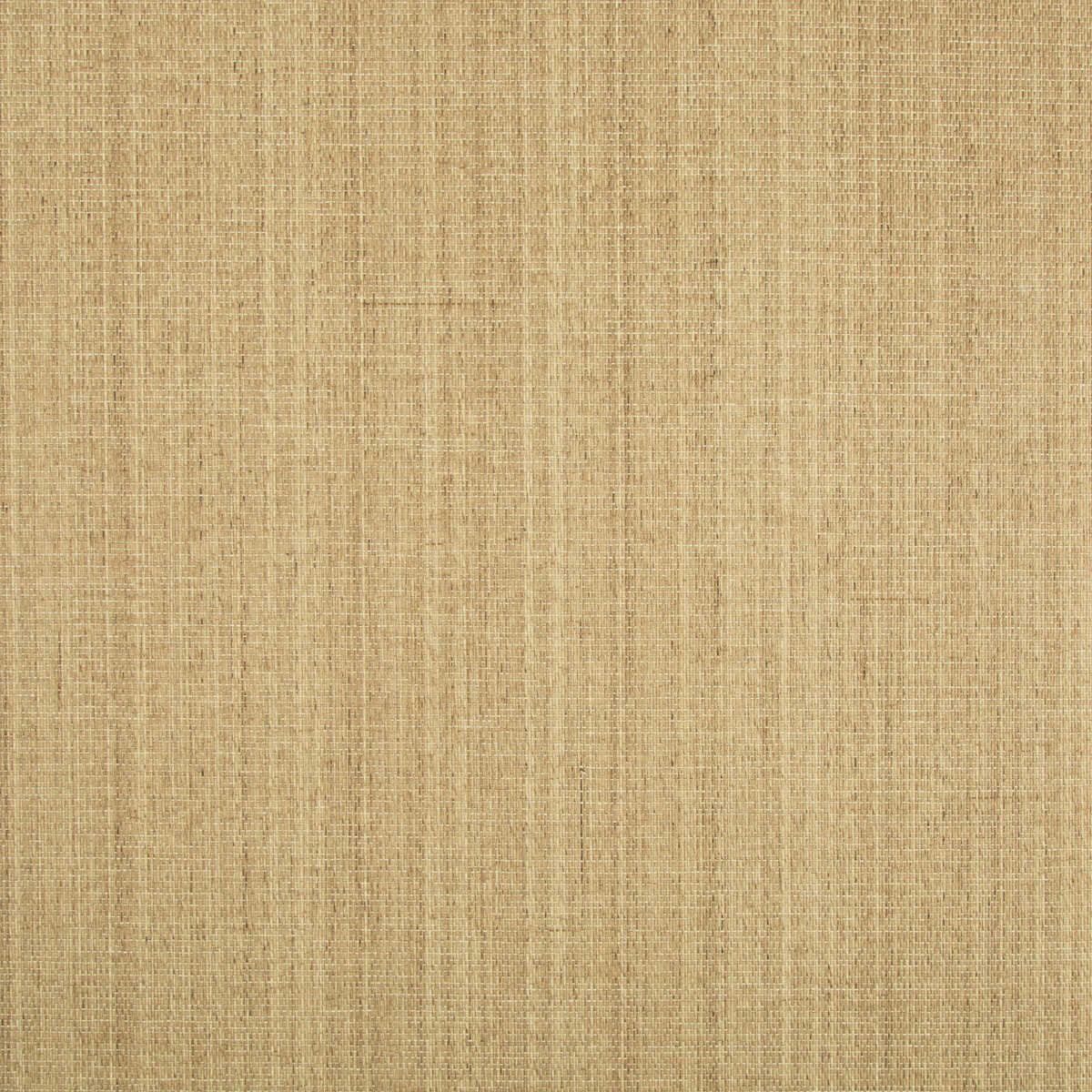 Ochi - Wheat - BRUNSCHWIG & FILS Wallpaper