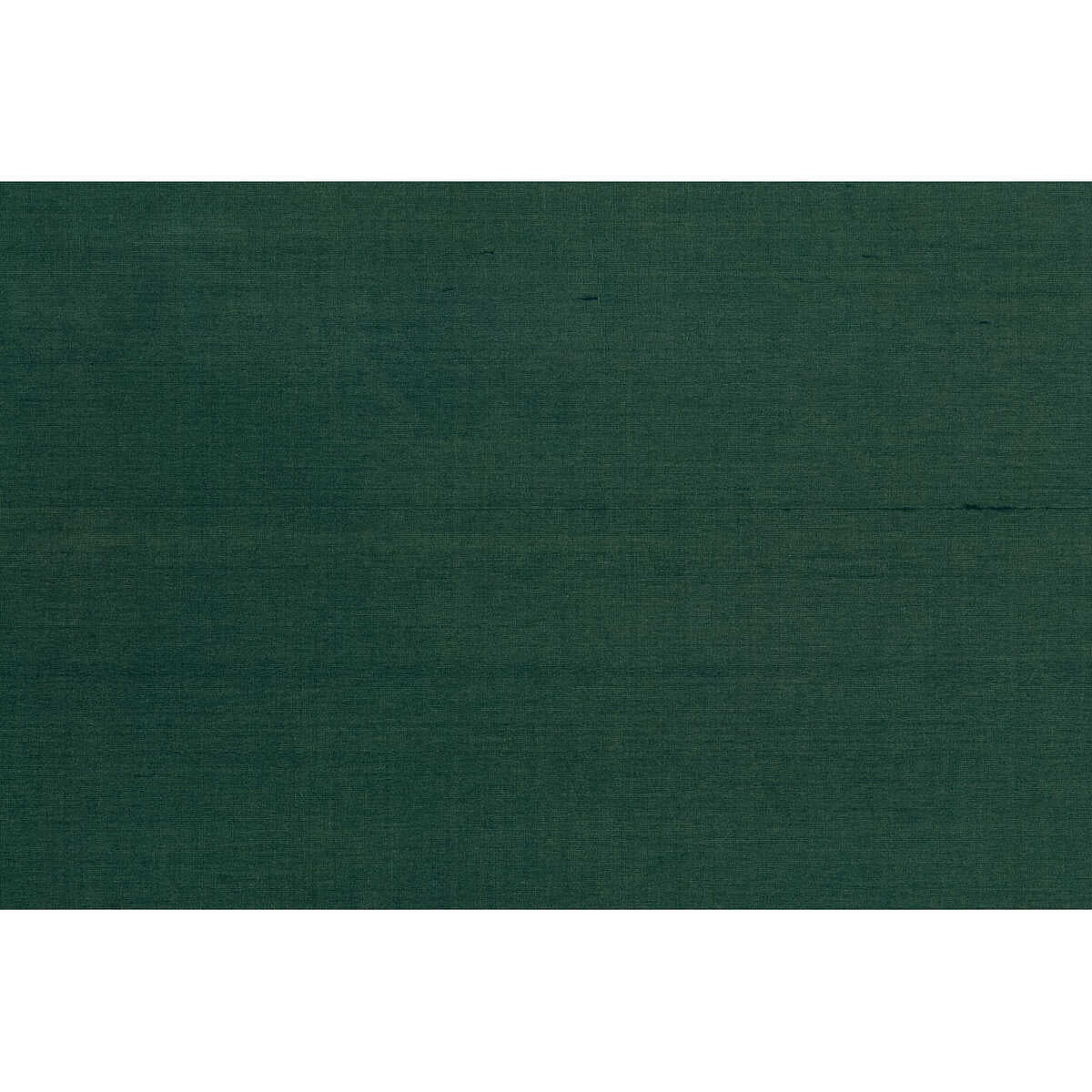 Seijun - Forest - BRUNSCHWIG & FILS Wallpaper