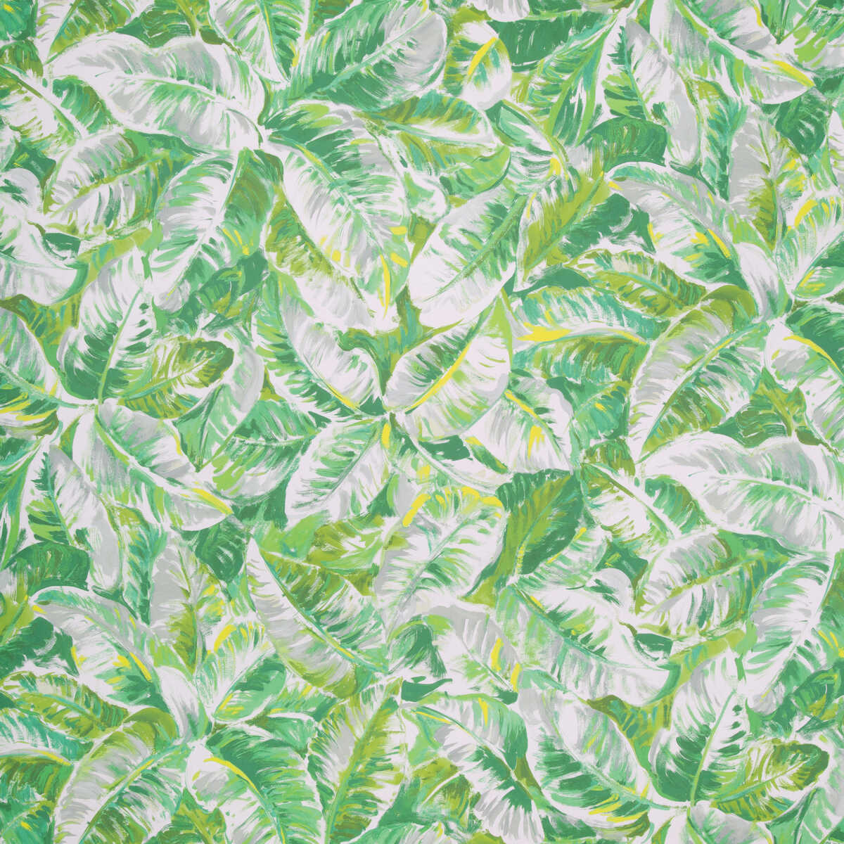 Diani - Leaf