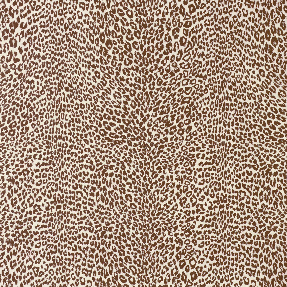 Petit Leopard - Chocolate