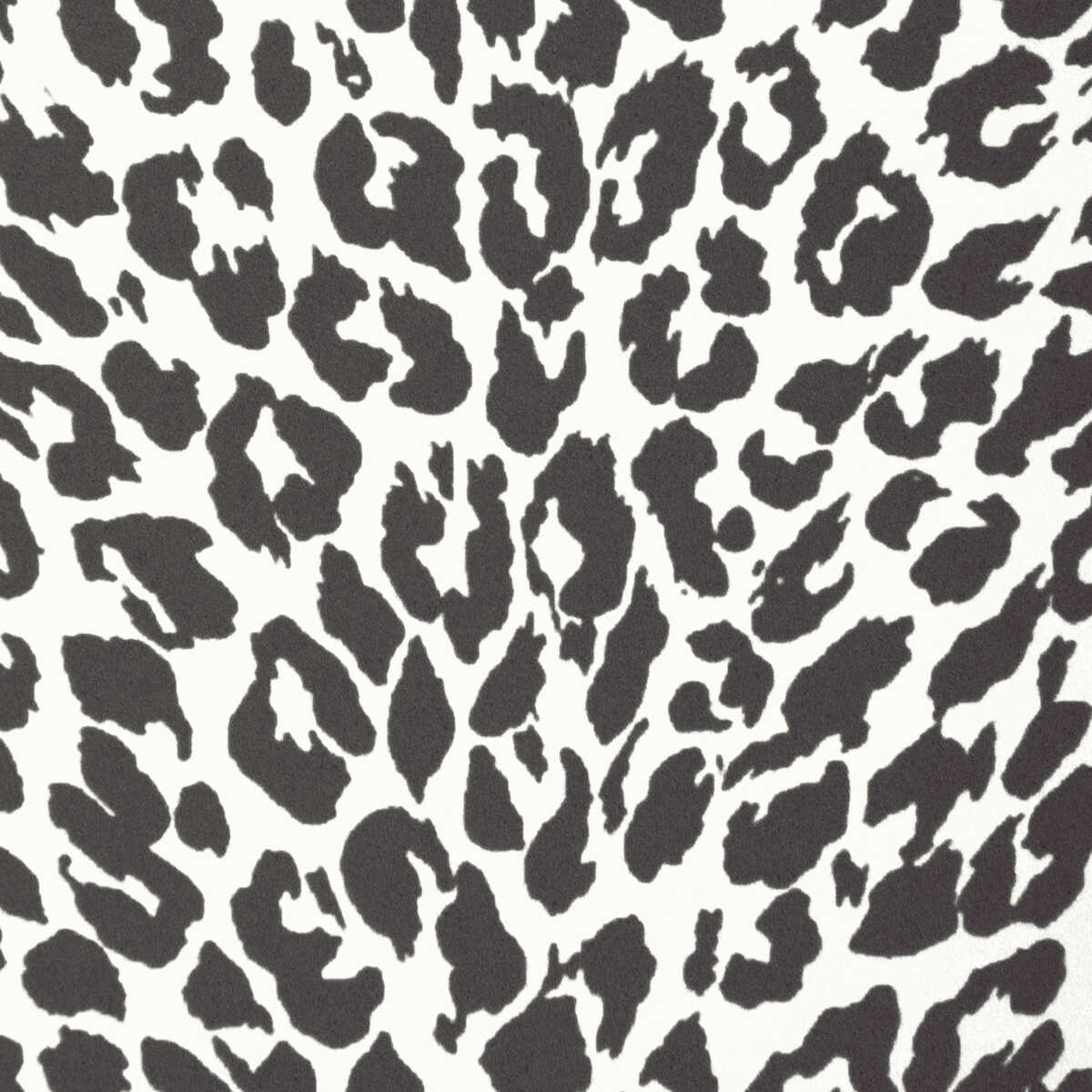 Petit Leopard - Noir - BRUNSCHWIG & FILS Wallpaper