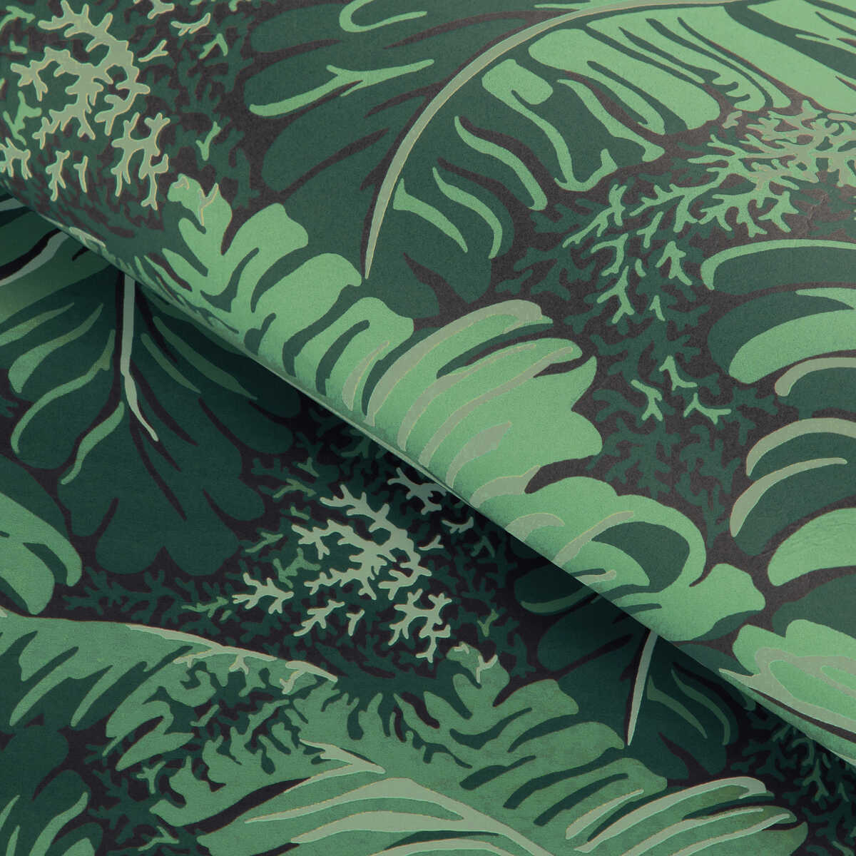 Feuilles De Bananier - Ivy - BRUNSCHWIG & FILS Wallpaper