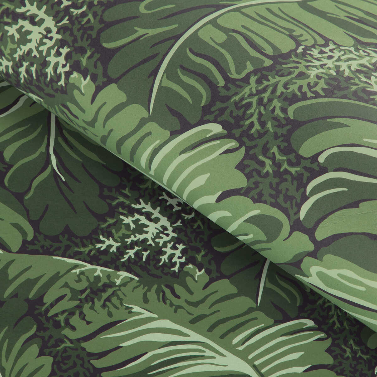 Feuilles De Bananier - Leaf - BRUNSCHWIG & FILS Wallpaper