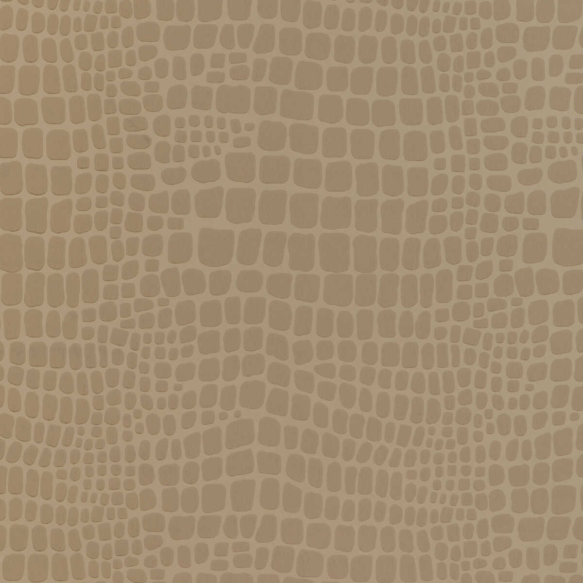 Croc - Beige