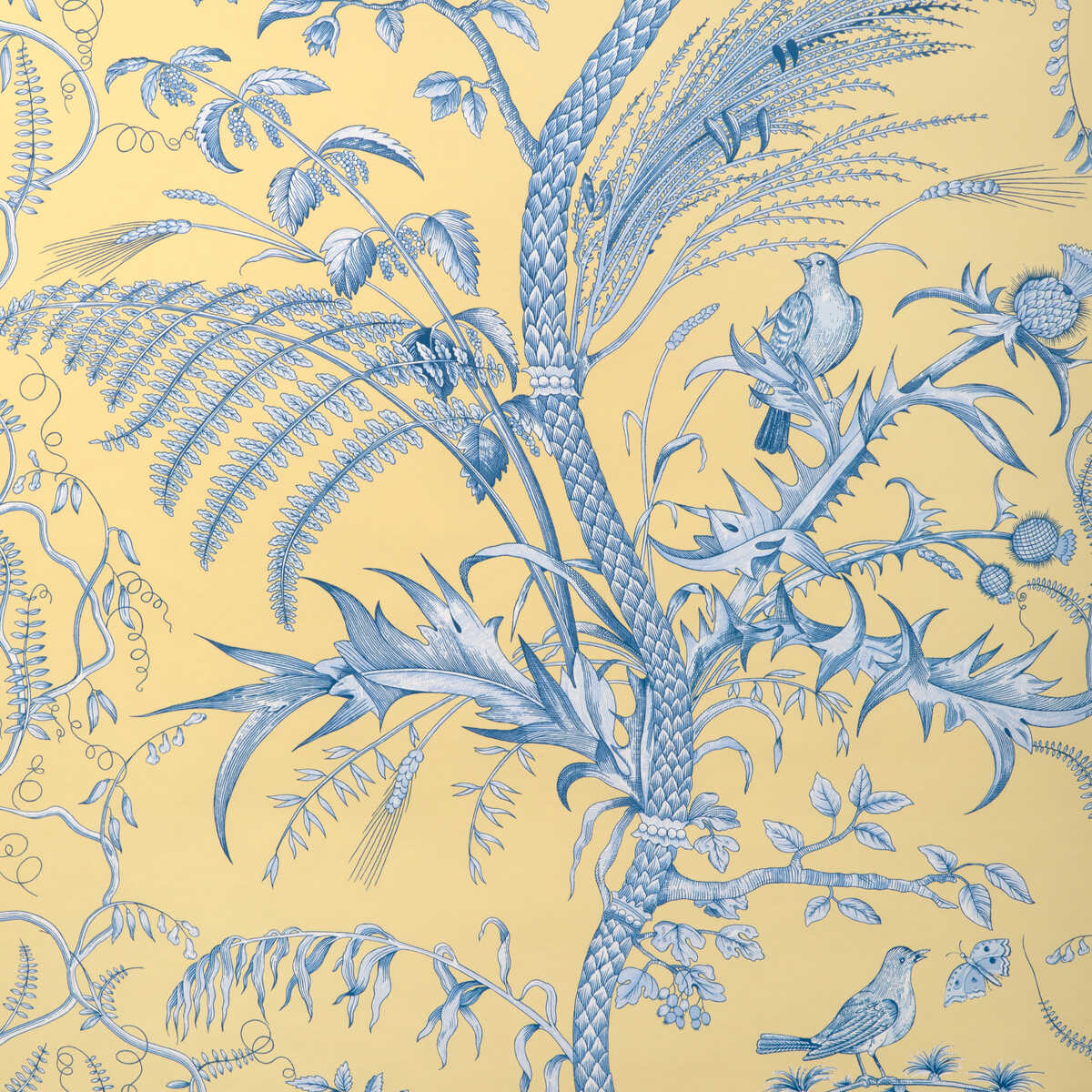 Bird And Thistle Ii - Sun - BRUNSCHWIG & FILS Papel pintado