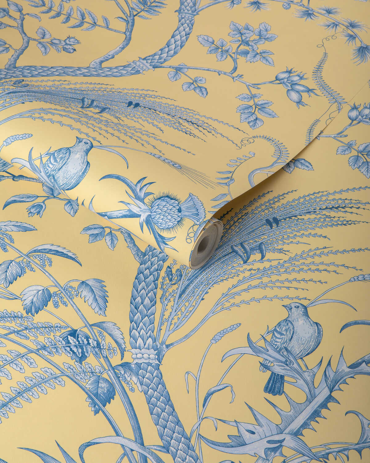 Bird And Thistle Ii - Sun - BRUNSCHWIG & FILS Papel pintado
