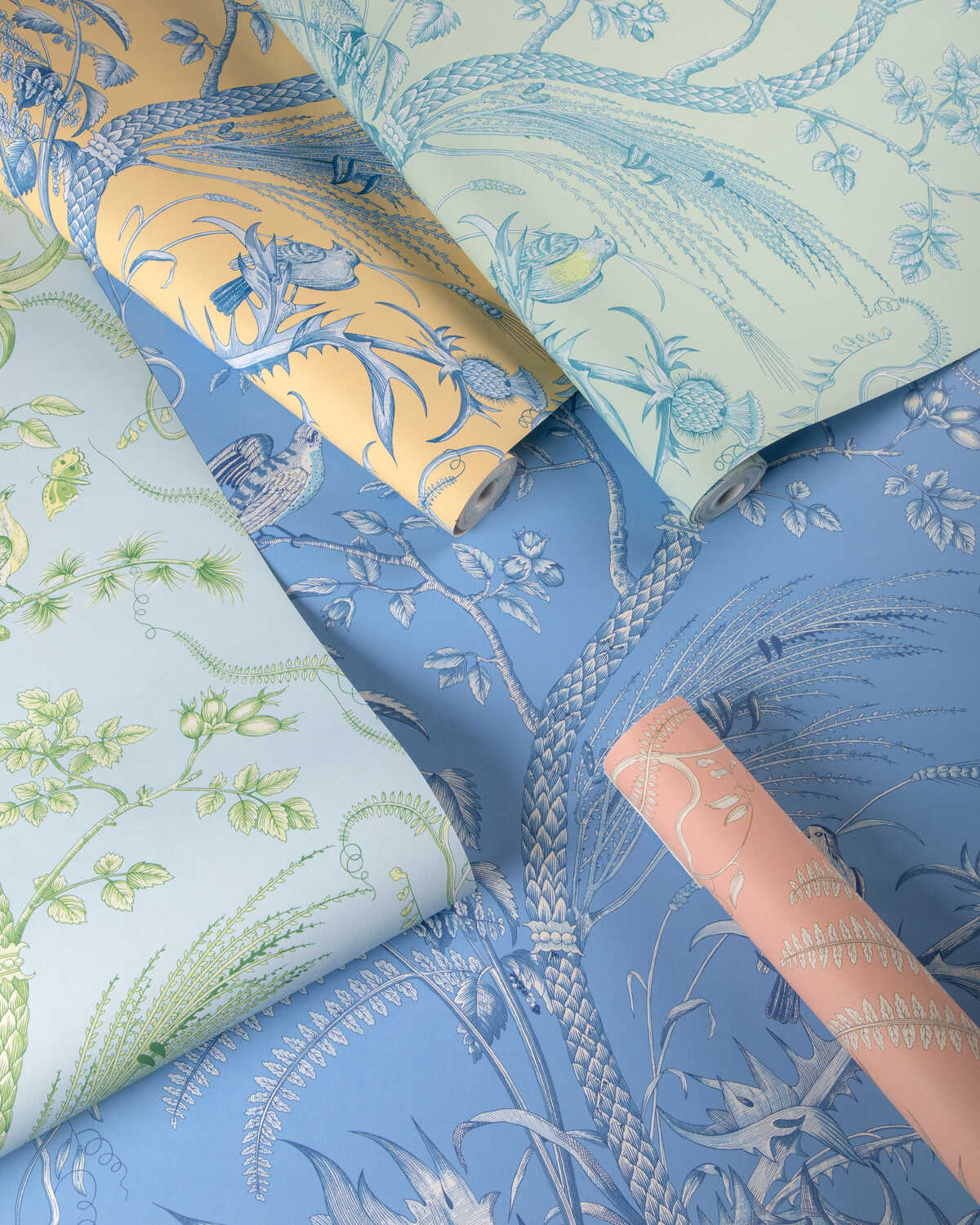 Bird And Thistle Ii - Sun - BRUNSCHWIG & FILS Papel pintado
