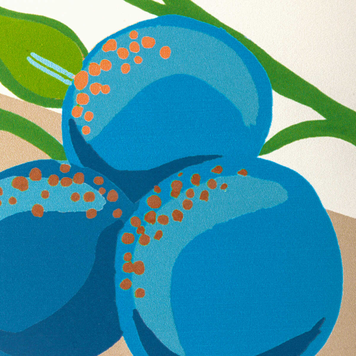 Pomelo - Multi - BRUNSCHWIG & FILS Wallpaper