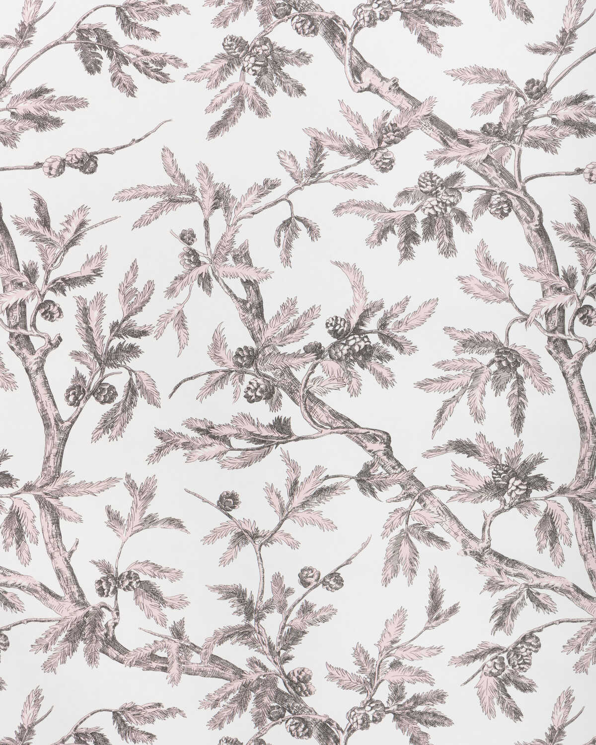 Branches De Pin Wc - Pink - BRUNSCHWIG & FILS Wallpaper