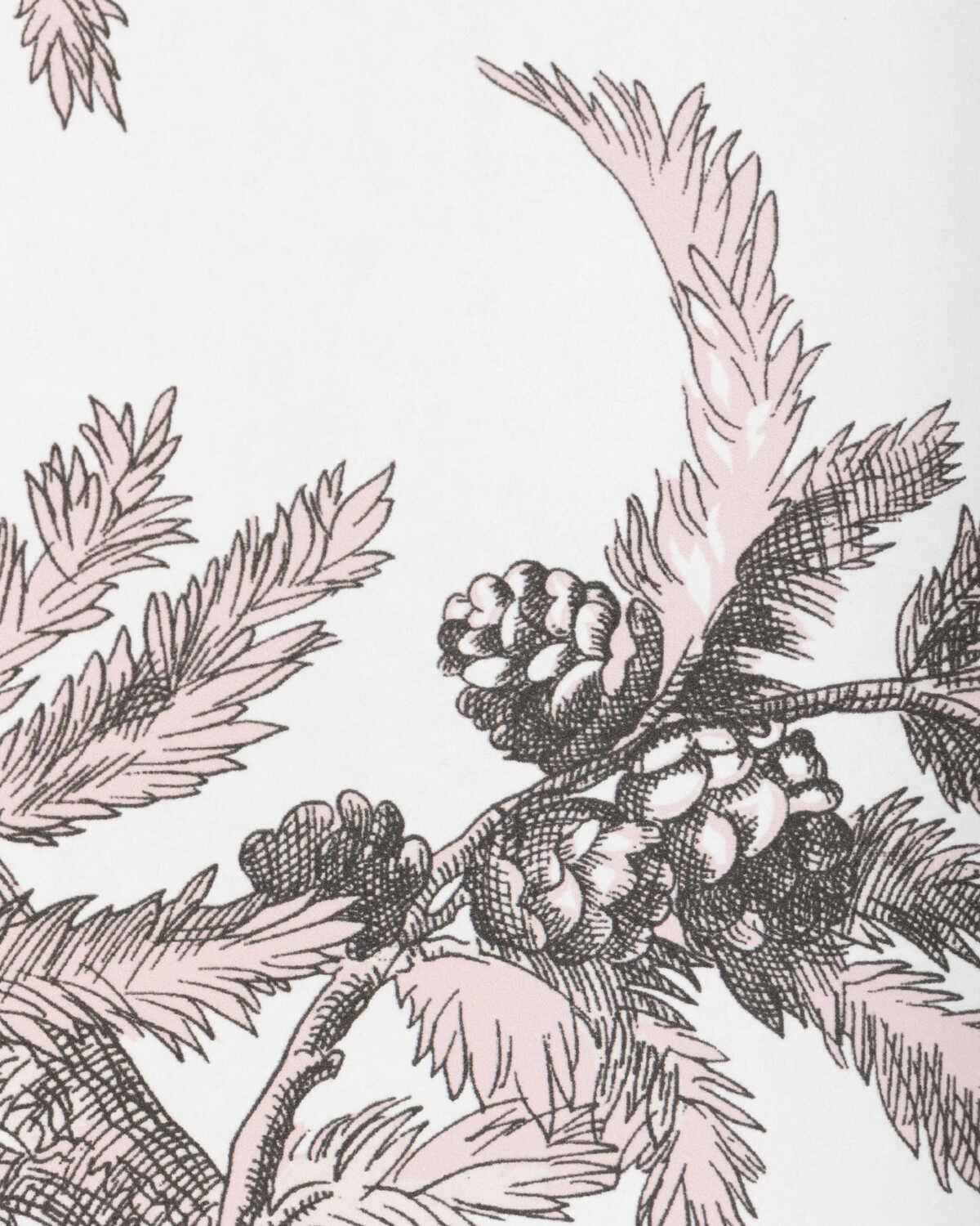 Branches De Pin Wc - Pink - BRUNSCHWIG & FILS Wallpaper