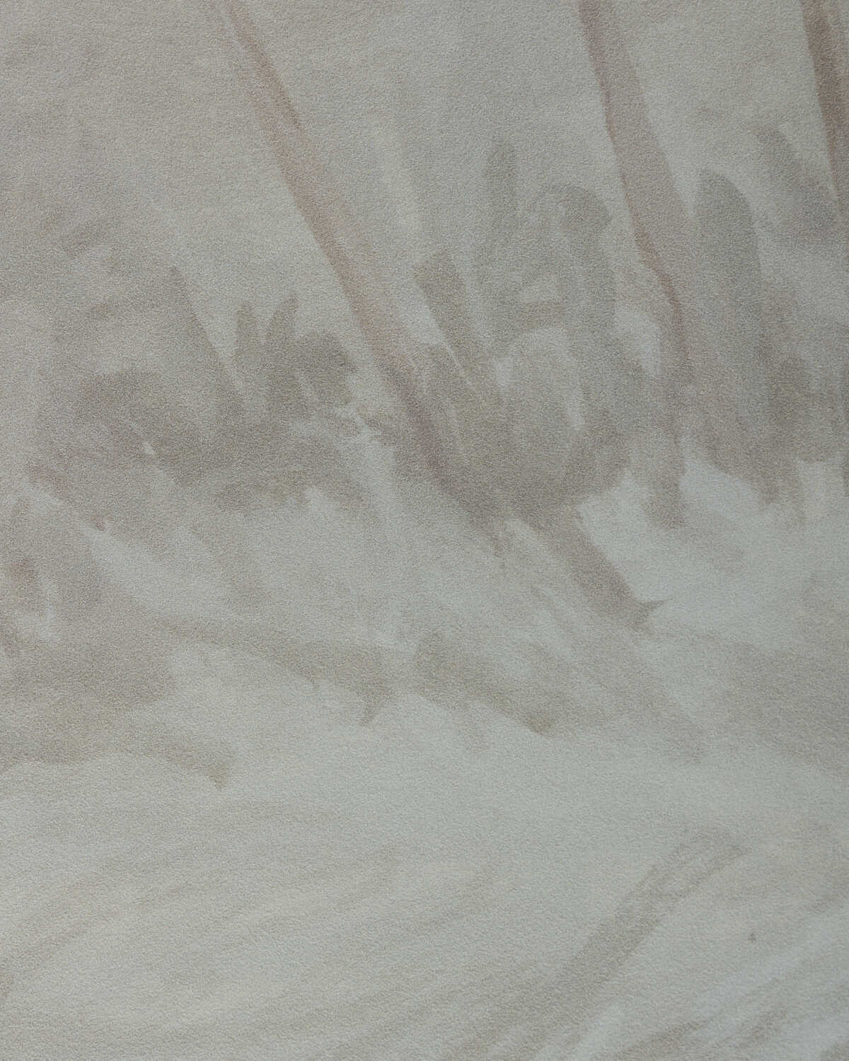 Arbres Mural - Neutral - BRUNSCHWIG & FILS Wallpaper