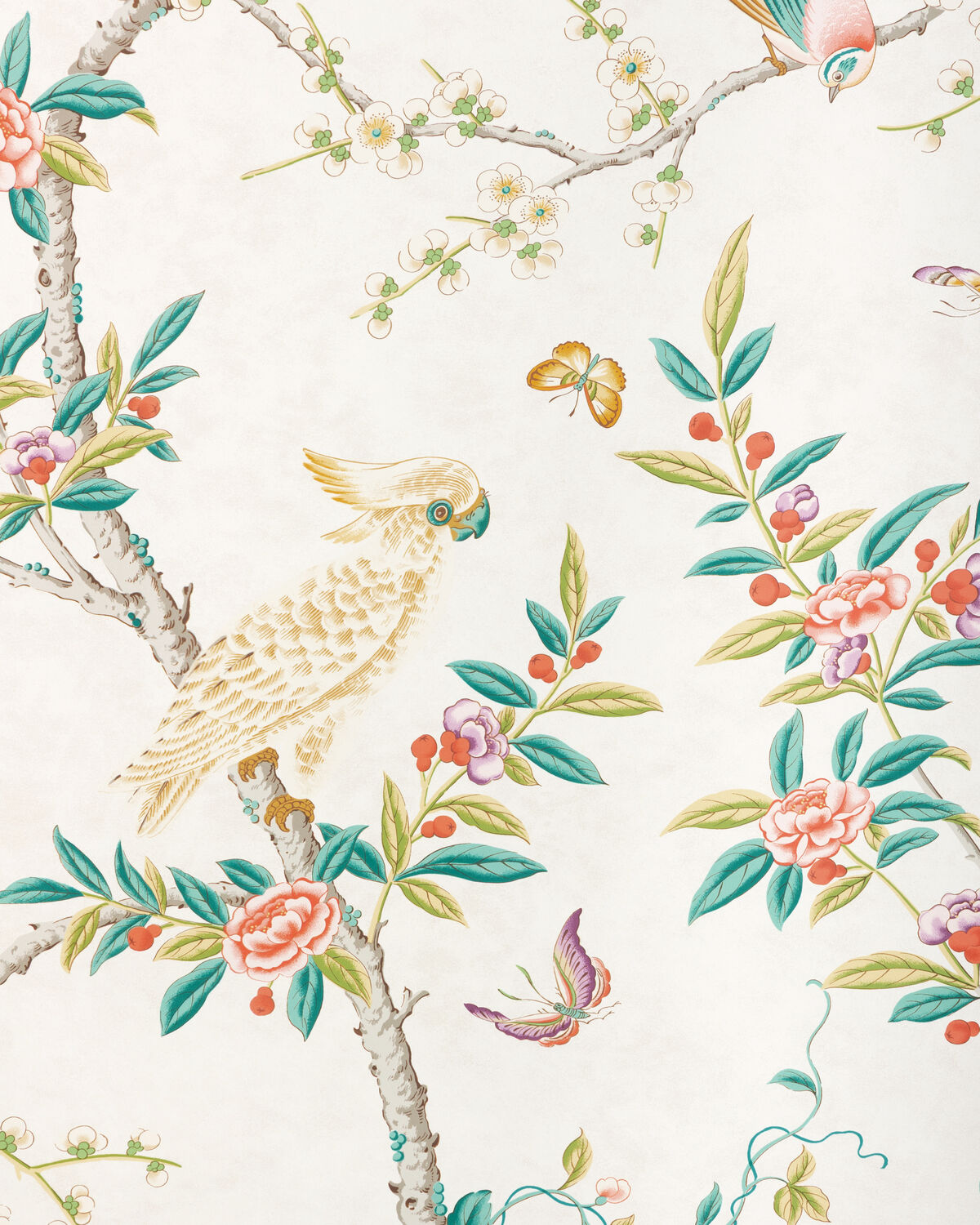 Kanchou - Multi