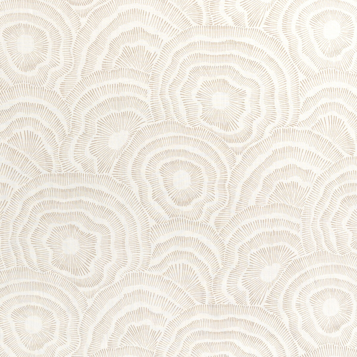 Panache - Natural - Kravet Couture Fabric
