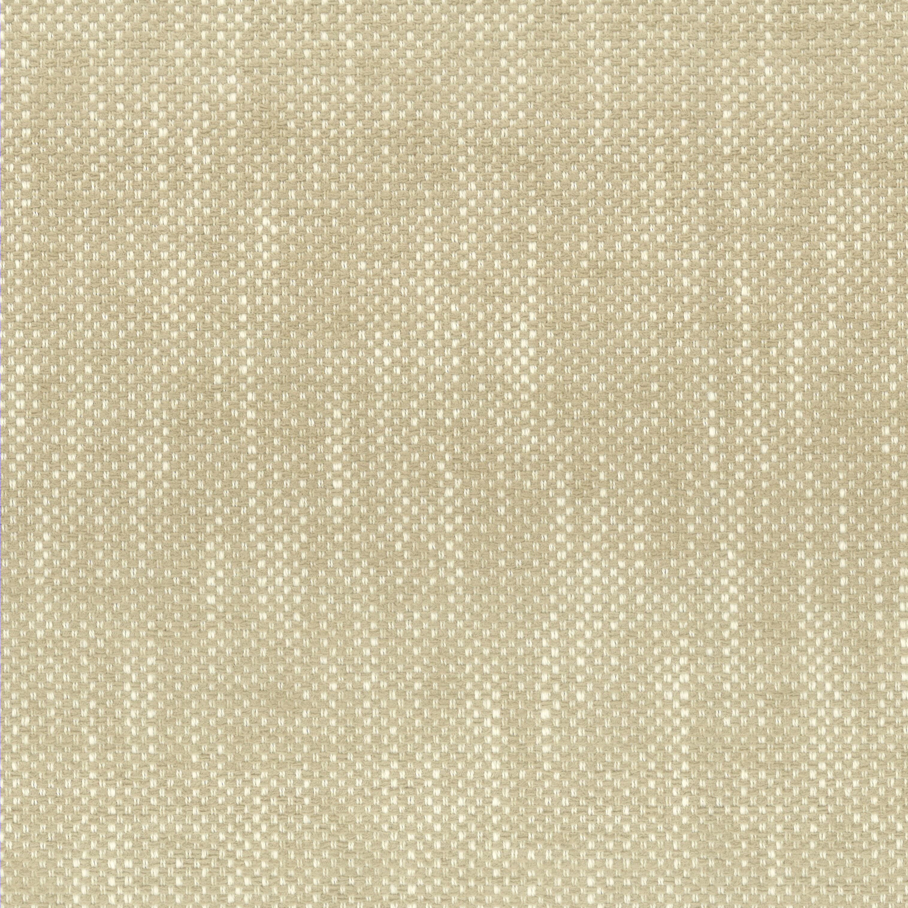 PANIC-1-CHAMPAGNE-STOUT-TEXTILES - Stout Textiles Fabric
