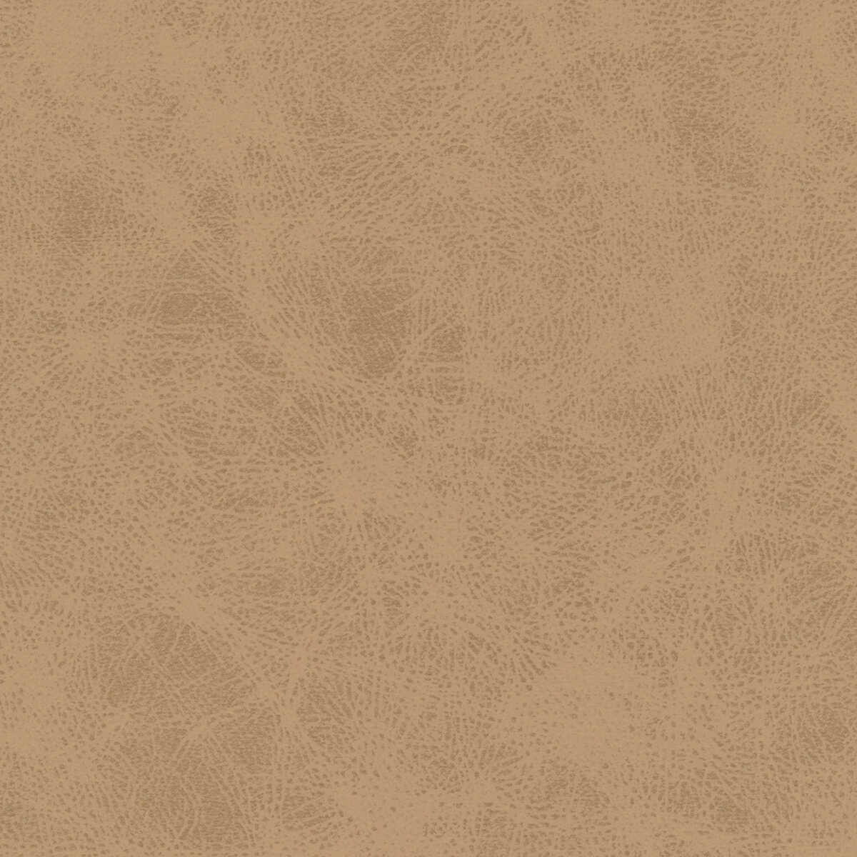 Kravet Design - Patch-106 - KRAVET DESIGN Tela