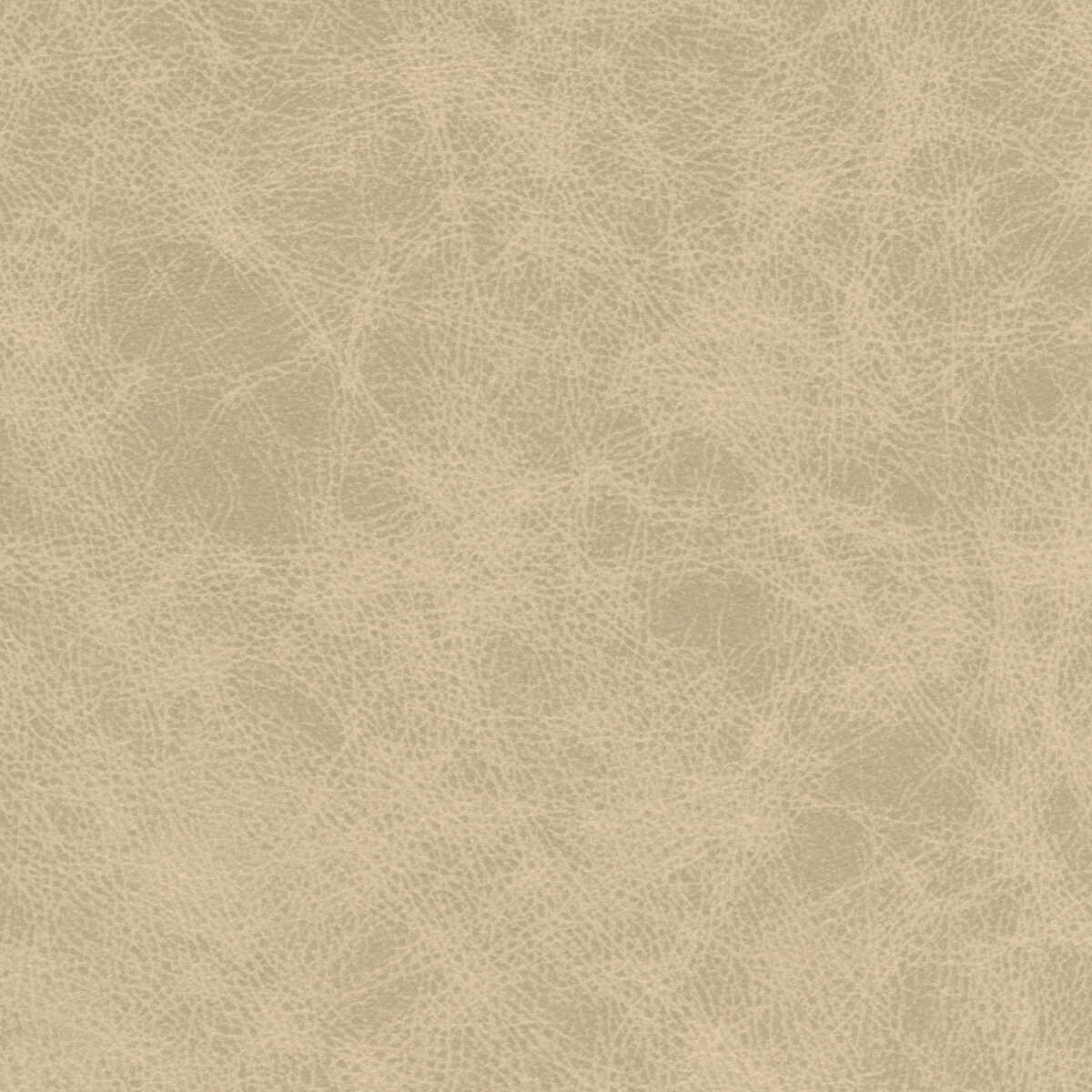 Kravet Design - Patch-11 - KRAVET DESIGN Tela