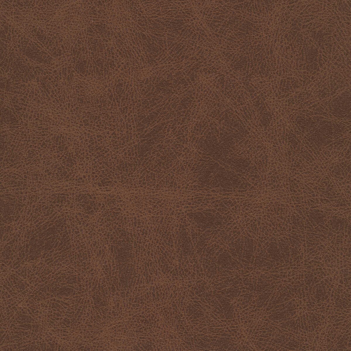 Kravet Design - Patch-6 - KRAVET DESIGN Tela