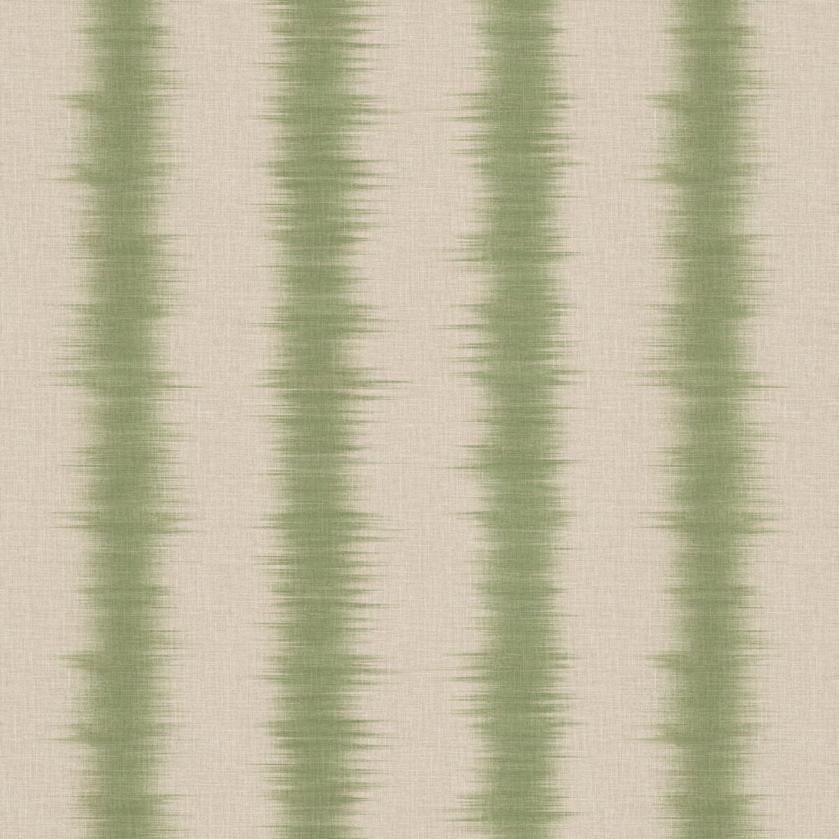 Aarna - Olive