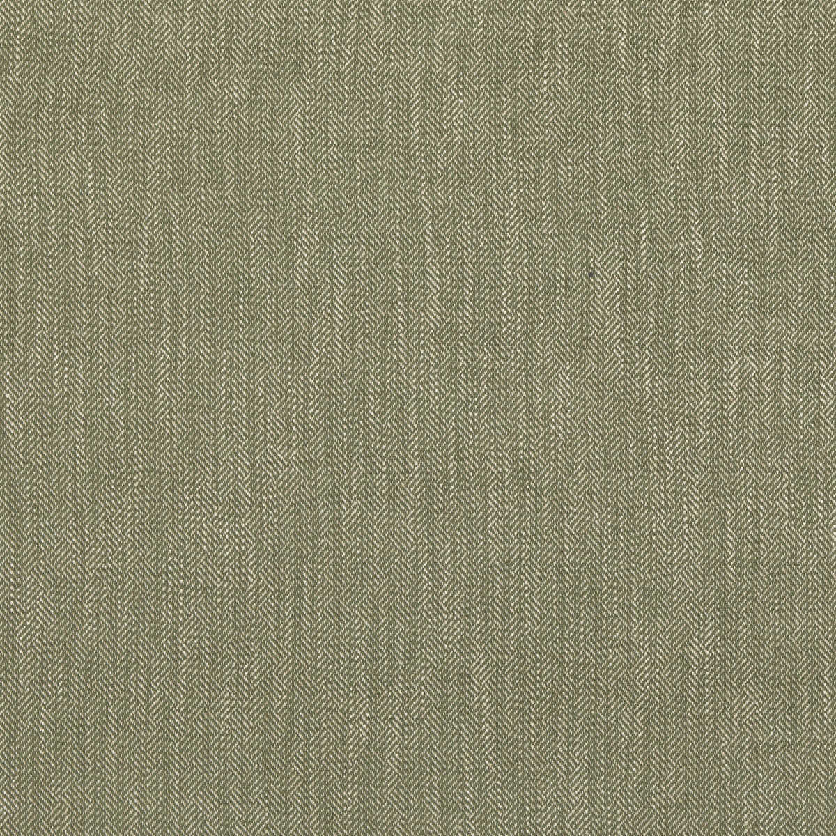 Garden Path - Green - BAKER LIFESTYLE Fabric