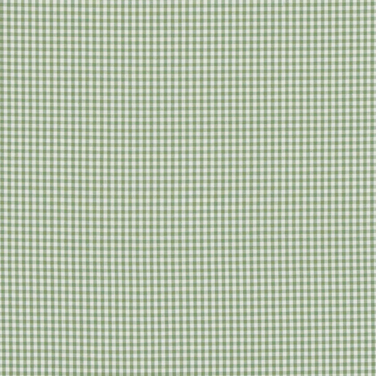 Sherborne Gingham - Green - BAKER LIFESTYLE Fabric