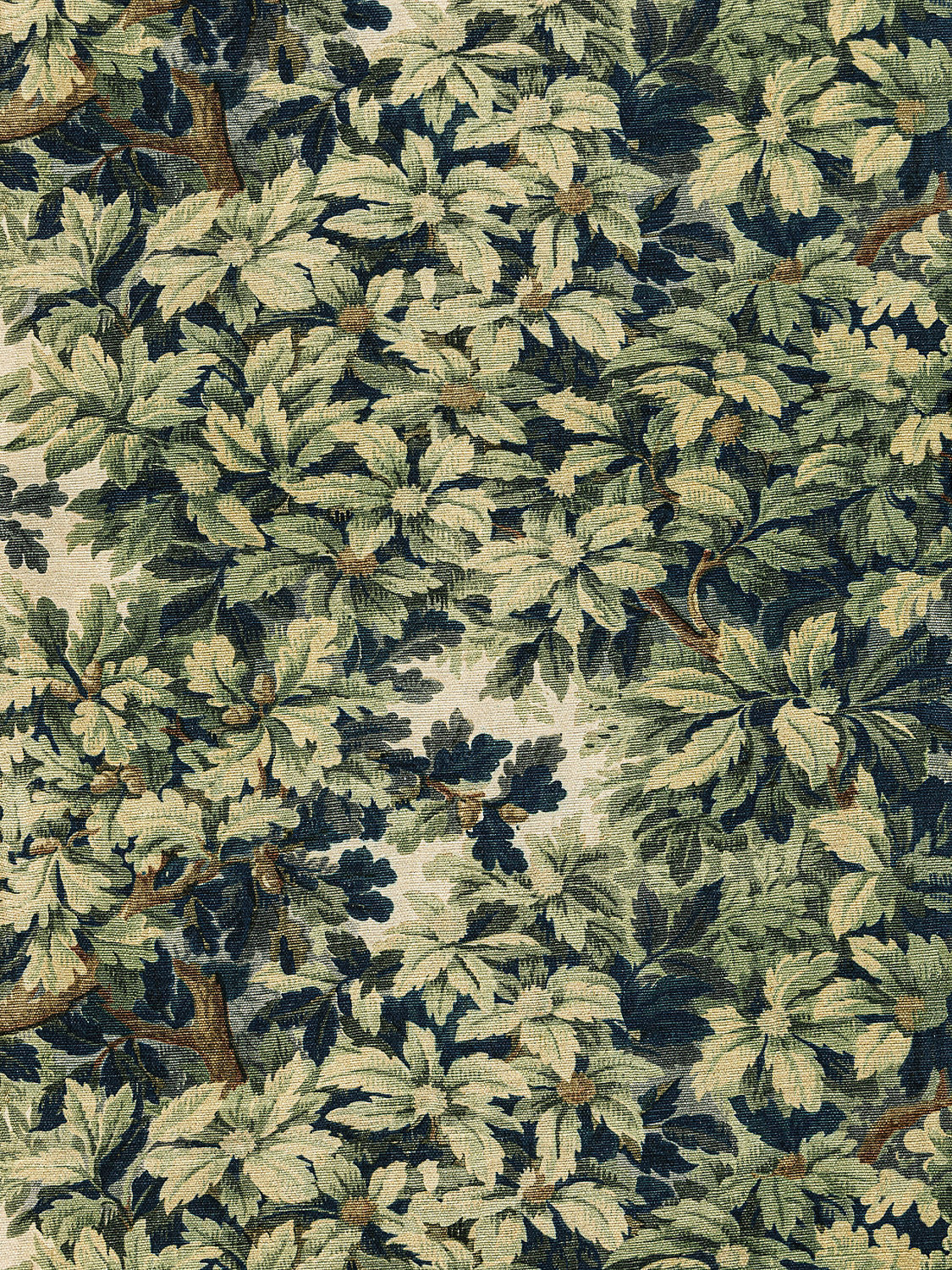 Bois De Chene - Verdure