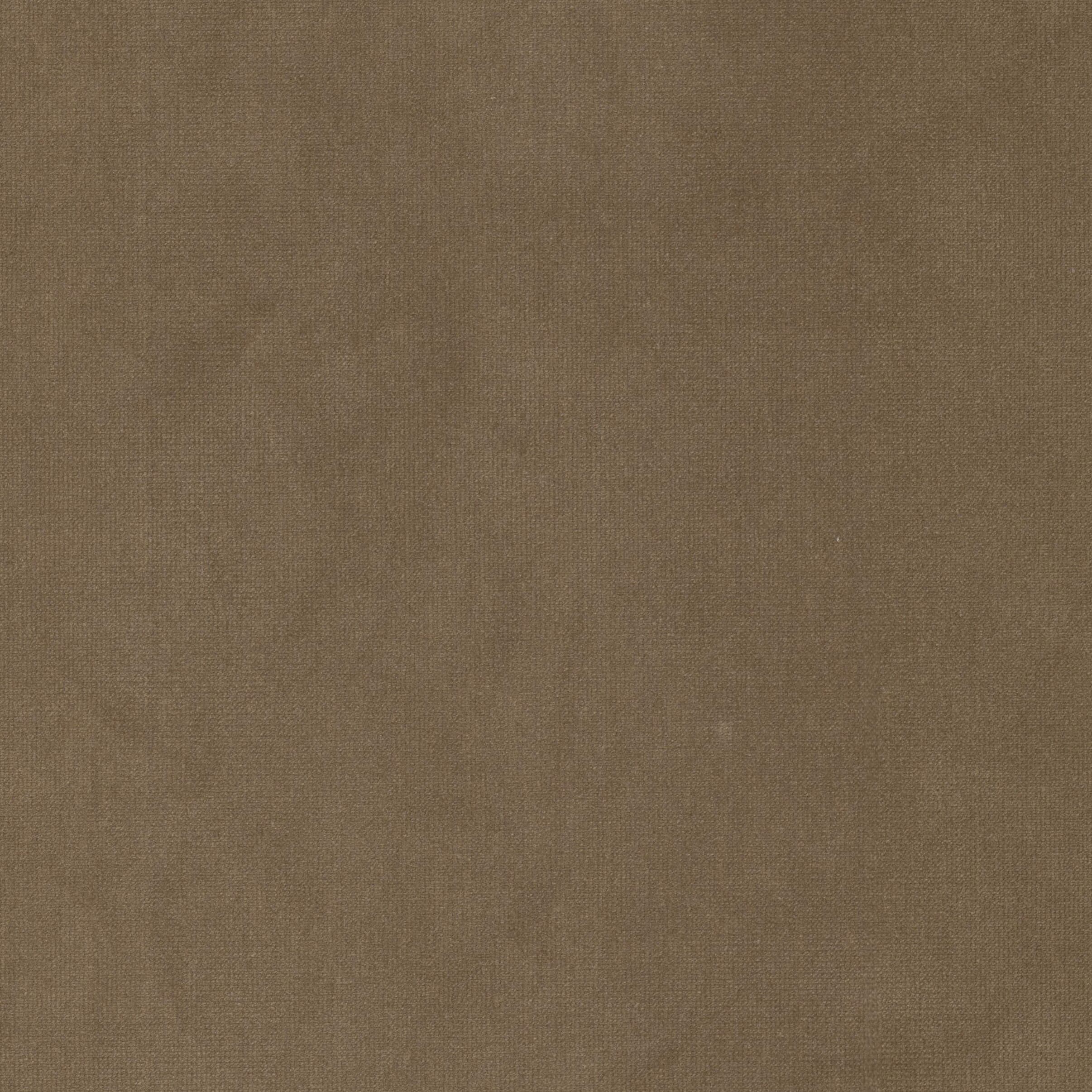 QUEEN-1-LION-STOUT-TEXTILES - Stout Textiles Fabric