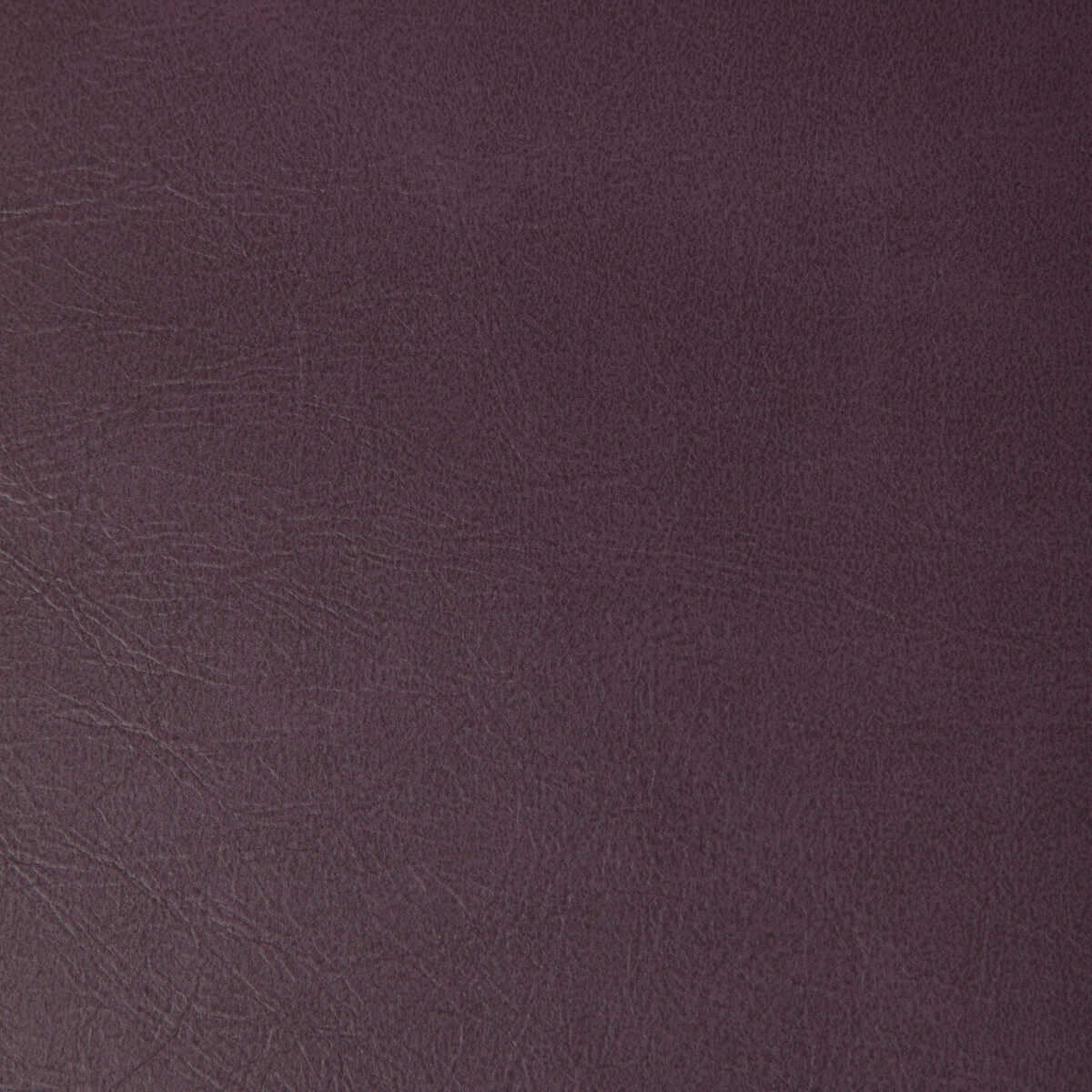 Rambler - Aubergine