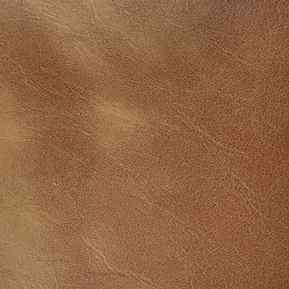 Rambler - Saddle