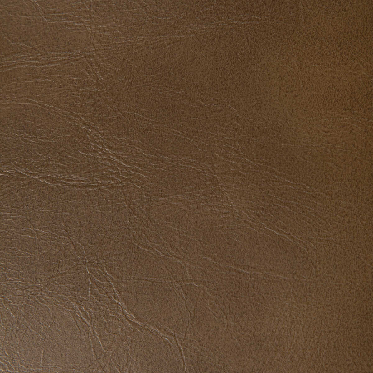 Rambler - Chicory - KRAVET CONTRACT Fabric