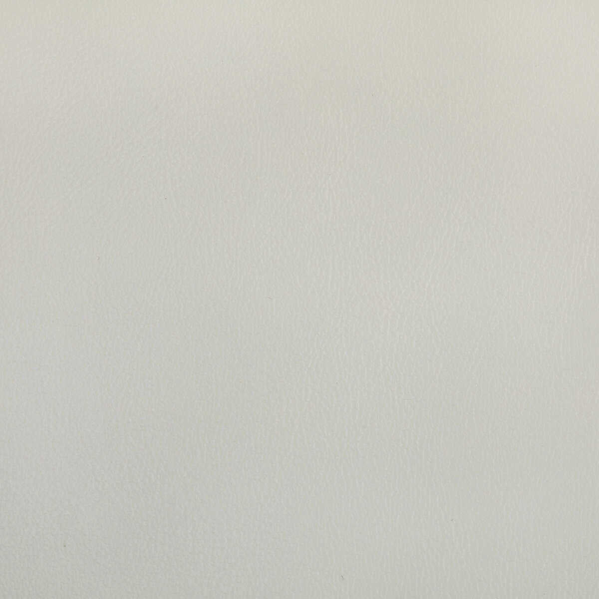 Rand - Fog