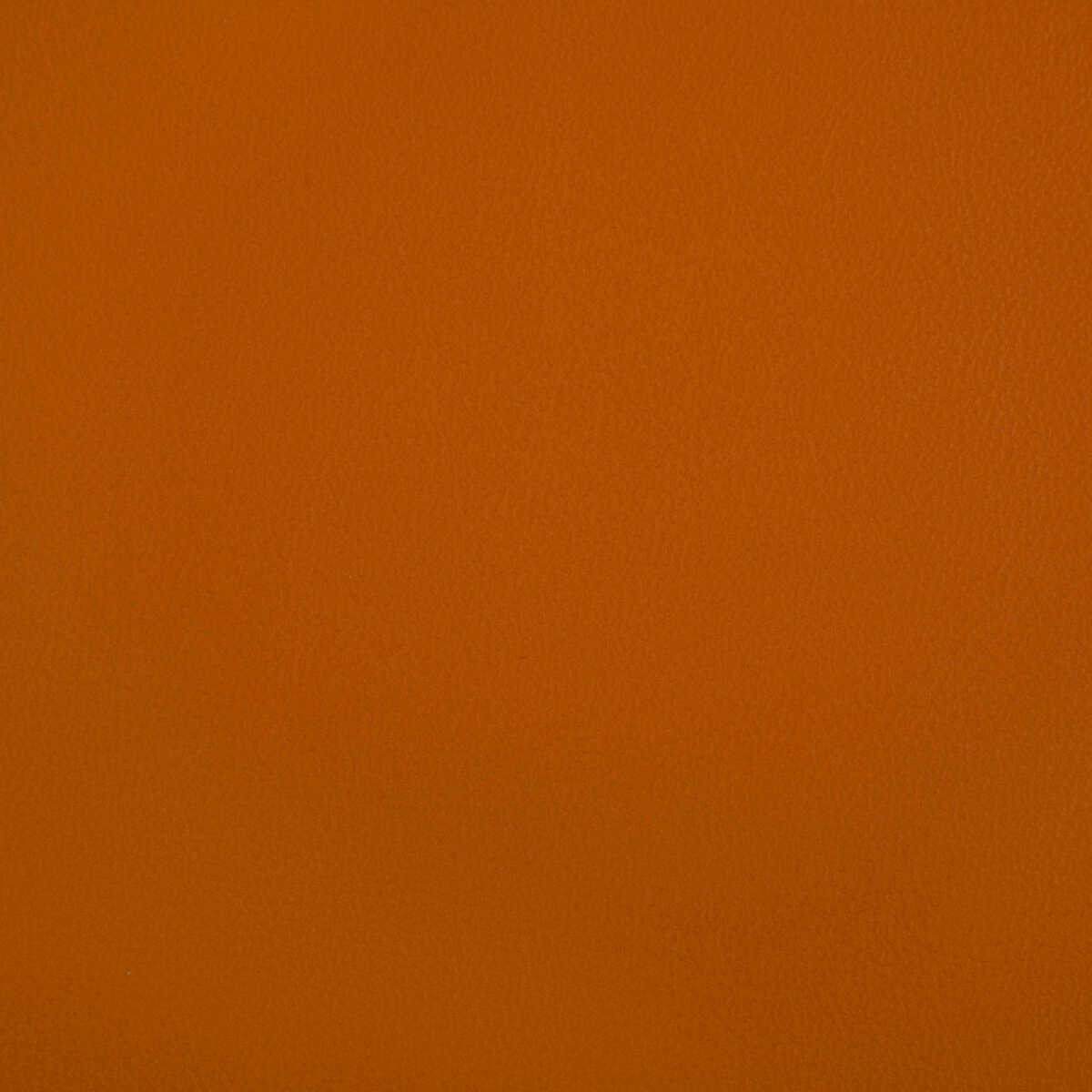 Rand - Squash - KRAVET CONTRACT Fabric