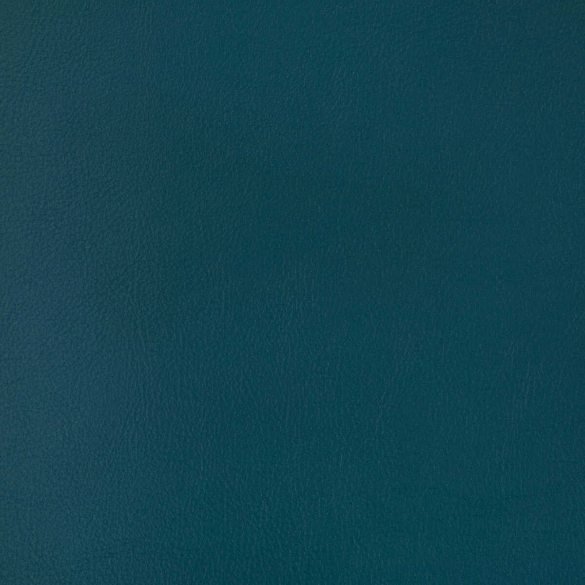Rand - Lagoon